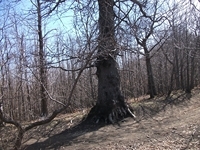 Monte_Fontane - 01042012 118.jpg